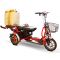 Электротрицикл Elbike Адъютант A3