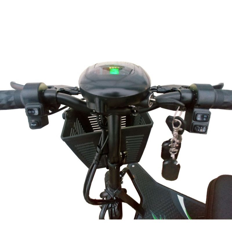 Электротрицикл Adjutant Dual Pro 700w Электротрицикл Adjutant Dual Pro 700w