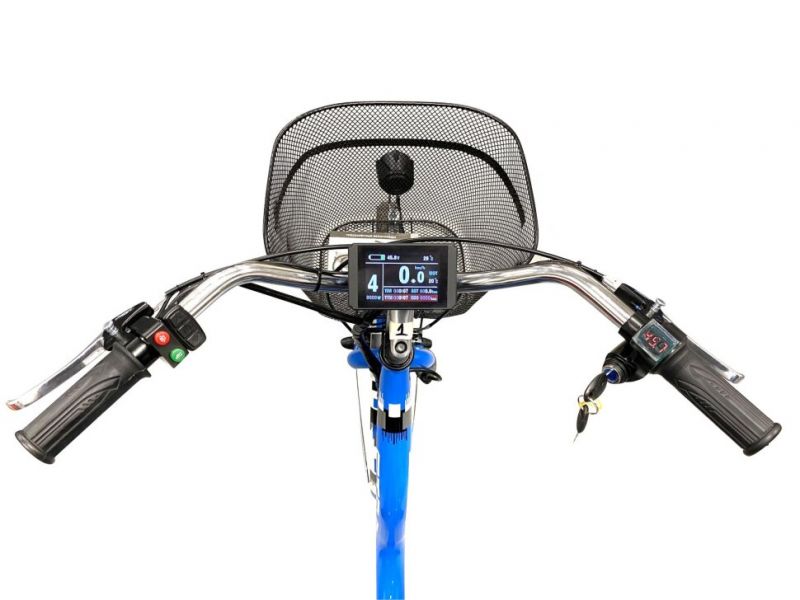 Электровелосипед трехколесный Horza Stels Trike 24-T1 1000W 48V/16Ah Электровелосипед трехколесный Horza Stels Trike 24-T1 1000W 48V/16Ah